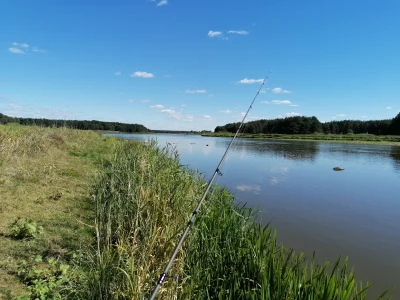 Xsarapicasso - Siemka, zwykle urzęduje na tagu o samochodach jeżdżących w kółko, ale ...