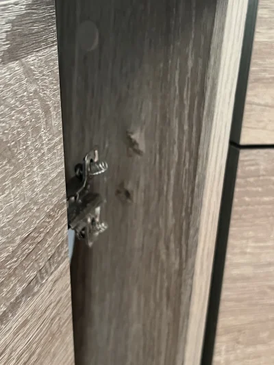 makeItReal - Hello, jest jakiś sposób, aby takie ubytki naprawić i zamontować drzwi o...