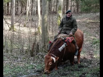 D1_MIRAS - Oswoić kaczkę to żadna sztuka, dlatego że u ptactwa występuje dość silne z...