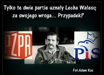 Cialis18 - #lechwalesacontent #lechwalesa #otua #heheszki #bekazpisu #bekazpodludzi