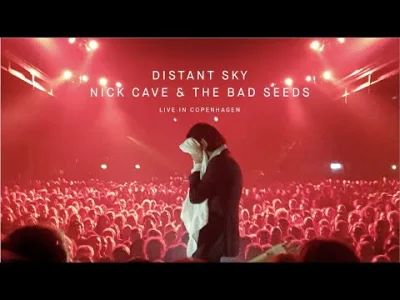 uncomfortably_numb - Nick Cave & The Bad Seeds - Jubilee Street
#muzyka #numbrekomen...