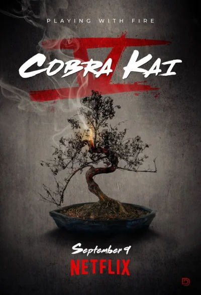 contrast - Zapowiada się nieprzespana noc (ツ)

#cobrakai #netflix #seriale