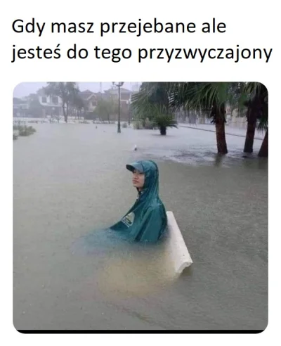 NewSadist - #heheszki #memy #humorobrazkowy