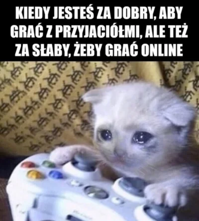 izzy4busy - #heheszki #humorobrazkowy #gracz #kitku

Za każdym ... razem.( ͡° ͜ʖ ͡°...