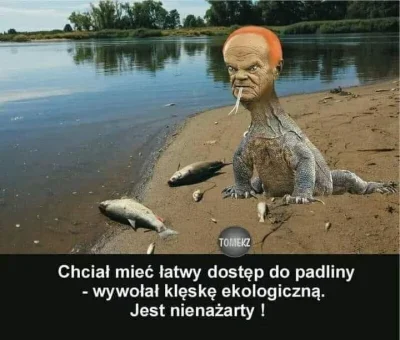 s.....9 - Dzień dobry