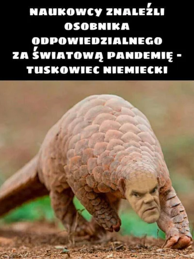 Headcrab_B - @szybki69: Nie tylko Odrę ma na sumieniu.