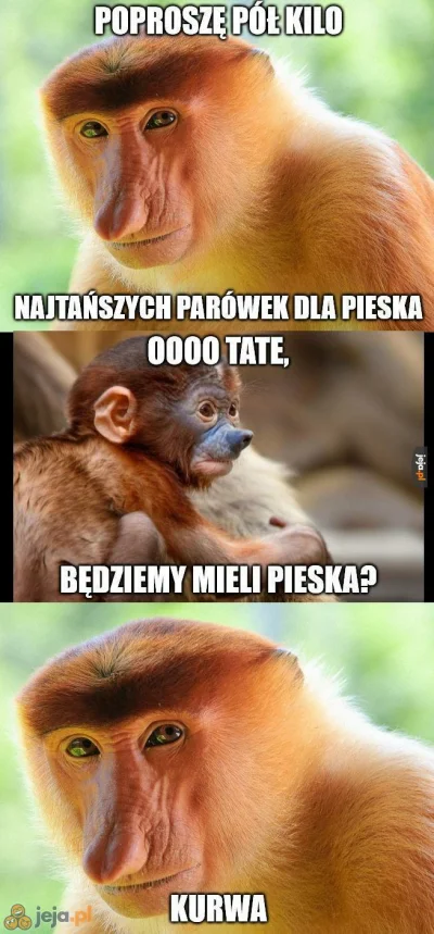 kopawdupeswiniom - @BarkaMleczna

Masz pieska? ( ͡º ͜ʖ͡º)