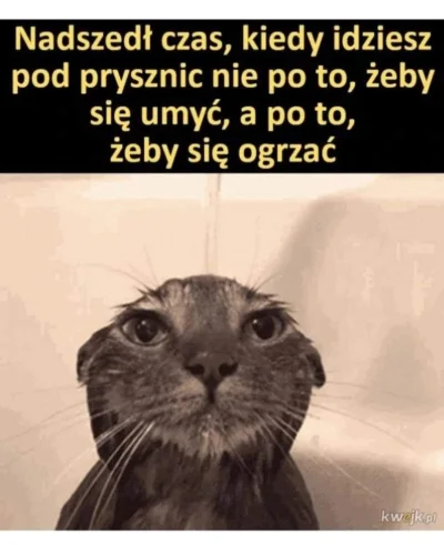 czykoniemnieslysza - #memy