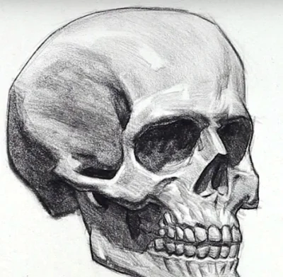pyrulson - @Ulyssos: @Efylsyndefyl: a to nie jest po prostu ksztalt czaszki? tak jak ...