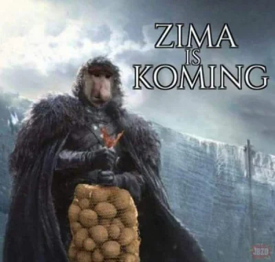 PIAN--A_A--KTYWNA - #polak #nosaczsundajski #heheszki