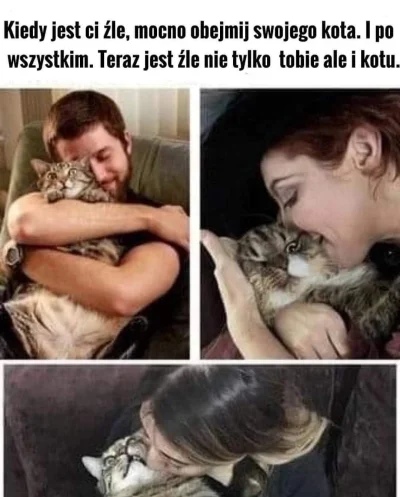 Turkotka - #memy #koty #humorobrazkowy