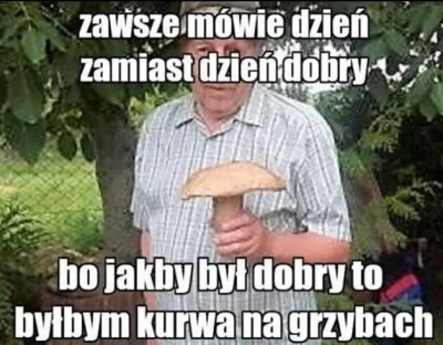 gumowy_ogur - Dzieeeń doooobry! Biorę koszyk i idę na grzyby.
Co ja mówię idę, ja #!$...