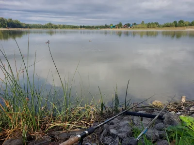 Sztudent - #wedkarstwo Bioro rowery spod sklepu