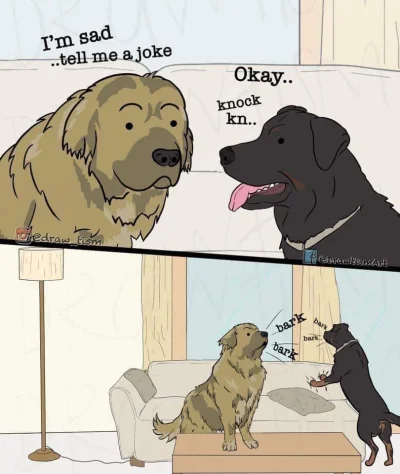 Misiekkkk - Z humorkiem #pies #psy #smiesznypiesek