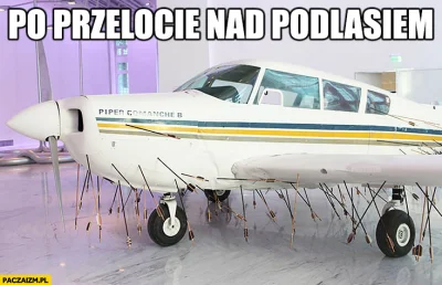 intri - Na Podlasiu by to nie przeszło. ( ͡° ͜ʖ ͡°)