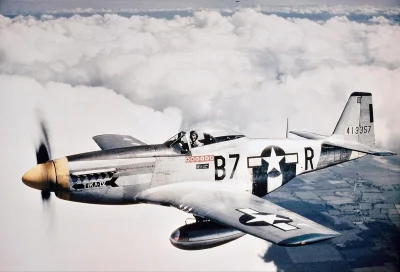 mexican-compadre_ - P-51 mustang