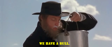 f.....o - @SynGilgamesza: