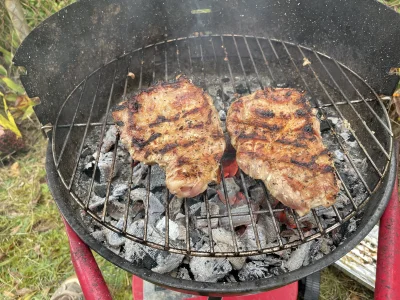 clas - Grill deszczem podlewany. 
Na szczęście to ostatni krok grilla. Gospodarz zgod...