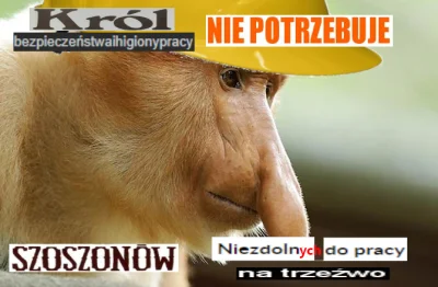 palwrotystara_ruro