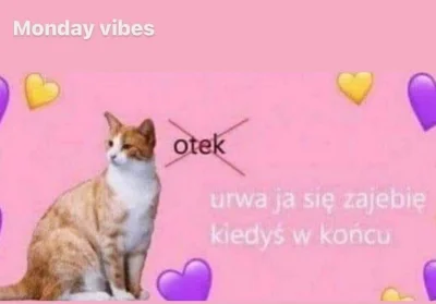 Kinda - Miłego dnia dla wszystkich! ʕ•ᴥ•ʔ