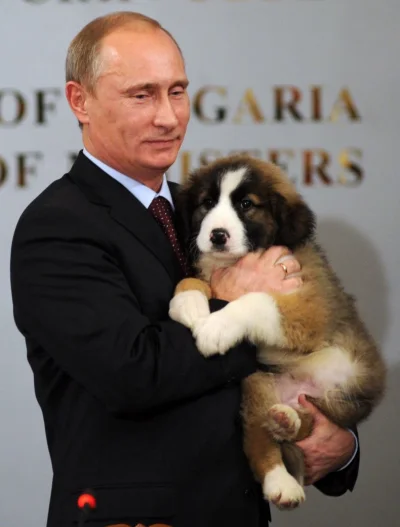 Vanni - Dlaczego właściwie wy tak nienawidzicie tego Putina?

#rosja #putin