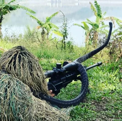 cheeseandonion - >Indonesian Air Force SOF sniper with a peculiar spotter 


SPOILER
...