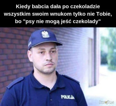 TuptusTuptusiowaty - Mam nadzieję że policjant za kierownicą będzie zwolniony dyscypl...