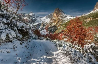 OnceUponATime_ - Walka jesieni z zimą podczas lata 乁(♥ ʖ̯♥)ㄏ

SPOILER

#fotografia
