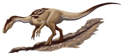 BitulinowyDzem - Velocipes to wątpliwy rodzaj wczesnego teropoda. Mógł należeć do neo...
