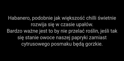 KORNI_K - @ShpxLbh: zagadka rozwiązana :) Mogło tak być bo tam gdzie rosły po deszczy...