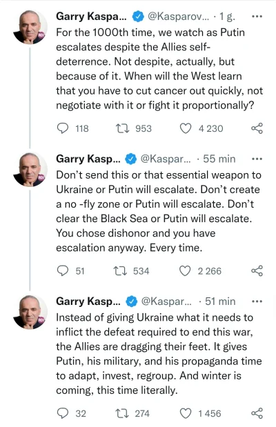 waro - Garry Kasparov celnie punktuje zachodnie kraje.

"Wybraliście hańbę, a i tak...