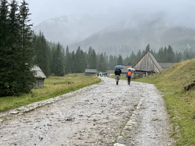 skrytozgroza - Kiepsko się zaczęło rano.