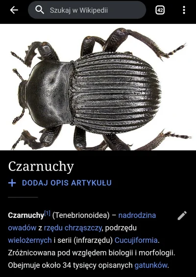 nieocenzurowany88 - Hej, jakie macie zdanie na temat czarnuchów?

#owady #pytanie