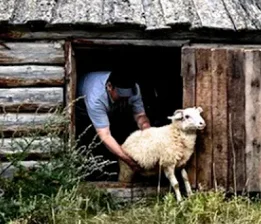 Kamecha - Nie wiem choć się domyślam