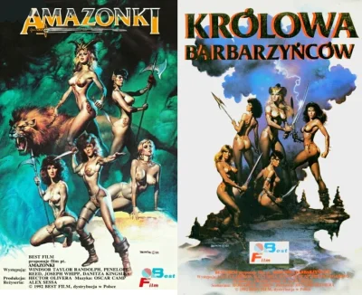 Montago - Dziś pod moim tagiem > #zlotaeravhs < pojawią się dwa podobne filmy fantasy...