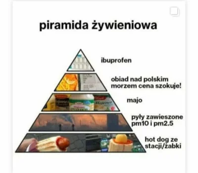 PaNaTypa - Piramida żywieniowa w Polsce ( ͡° ͜ʖ ͡°)
#dieta #heheszki