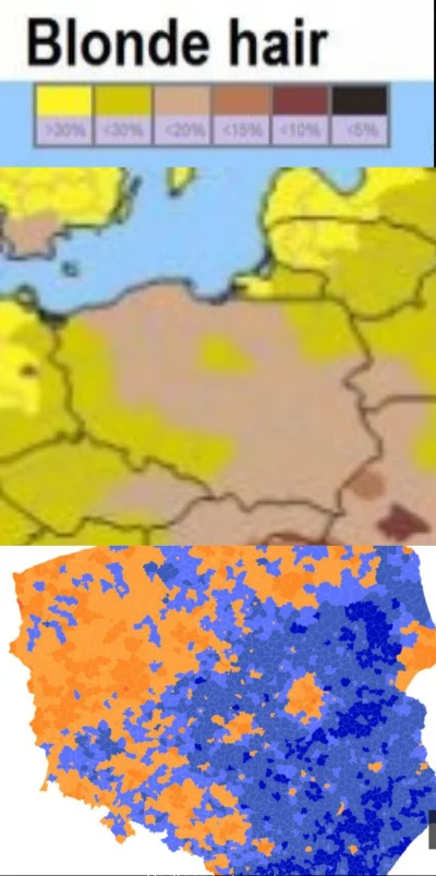 Szczupix37 - Mapa przedstawiająca wystepowanie blond włosów w polsce i mapa wyników w...