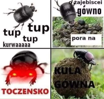 niedzwiedzmis - #heheszki #humorobrazkowy #zwierzaczki