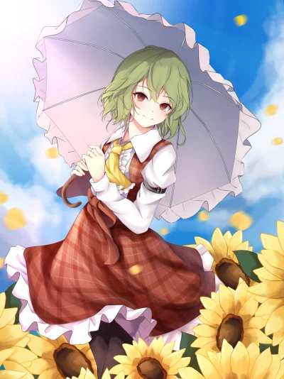 OttoFlick - #randomanimeshit #anime #zielonowlose #rajstopyanime #touhou #yuukakazami...