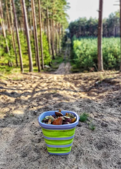 Krupier - Popołudniowe grzybobranie jest lepsze niż poranne grzybobranie. Można się w...