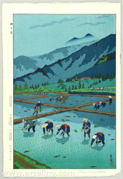 malakropka - Rice Planting_