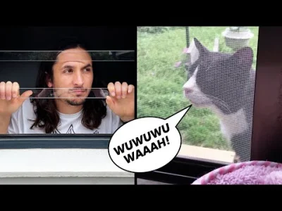fadeimageone - How to make a song with your neighbour's cat
#heheszki #muzyka #pierd...
