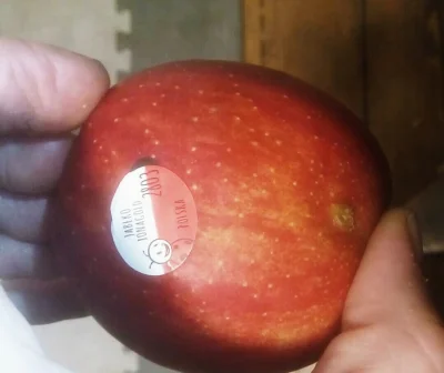 CzerwonyjakWIG20 - Taki artefakt trafiłem - jabłko z 2803 roku xD Szkoda, że więcej n...