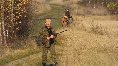 josedra52 - Ech człowiek chciał sobie pójść na grzybki bo niedziela to nie, nie da si...