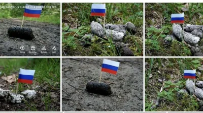 radzio666 - Profanują śmietniki. Własciwe miejsce ruskiej flagi jest poniżej