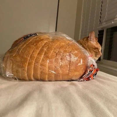 wfyokyga - Odwiedził Cię chleb.