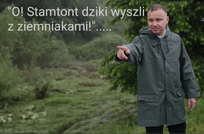 CipakKrulRzycia - #kaczynski #cenzoduda #polityka #heheszki 
#dziki #bekazpisu