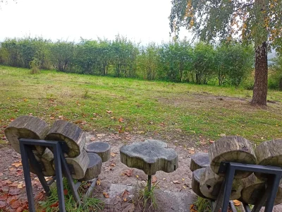 kubcha_ - Wspaniały widok na zasłonięty widok przez krzaki na polanie piknikowej na S...