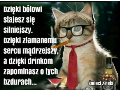 januszzczarnolasu - > a nie jakaś wóda o nazwie jak żarcie dla kotów.

@WaldemarBat...