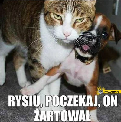 paramedix - Chwilę później...